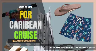 Essential Items to Pack for a Caribbean Cruise