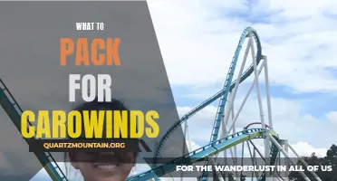 Essential Items to Pack for a Fun-Filled Visit to Carowinds