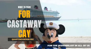 The Essential Items to Pack for Castaway Cay: Your Ultimate Guide