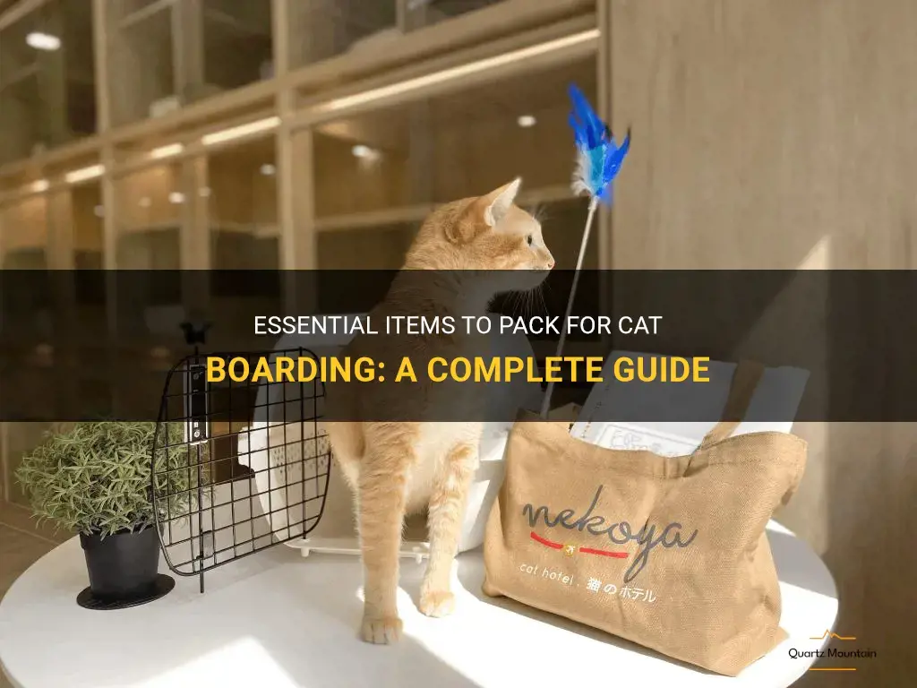 what to pack for cat boarding