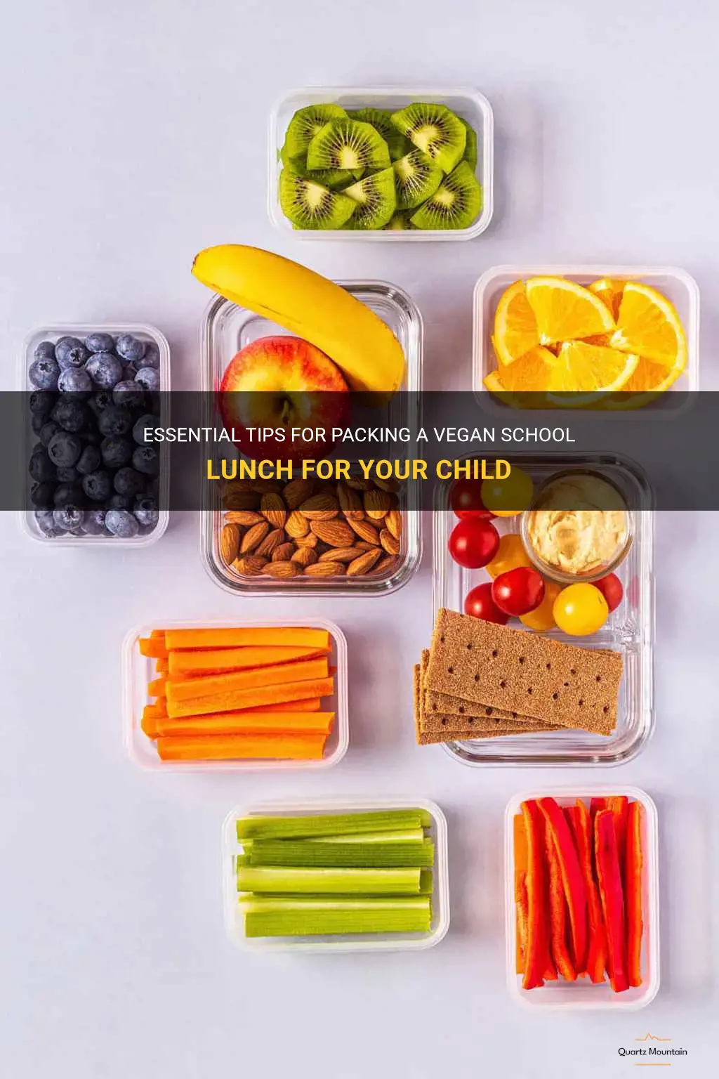 what to pack for child vegan school lunch
