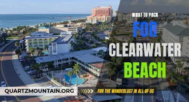 Essential Items to Pack for an Unforgettable Trip to Clearwater Beach