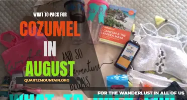 Essential Items to Pack for Your Cozumel Adventure in August