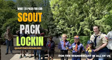 The Essential Packing Guide for a Cub Scout Pack Lock-in