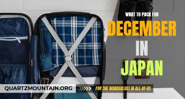 Essential Items to Pack for a December Trip to Japan