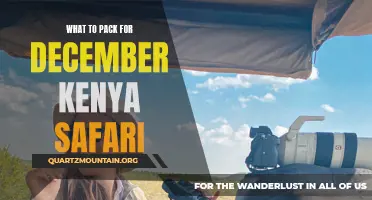 Essential Items to Pack for a December Kenya Safari