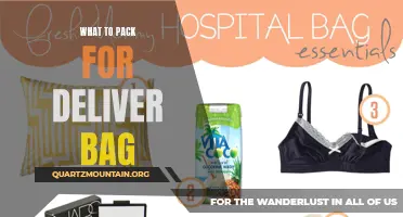 Essential Items for Your Hospital Delivery Bag