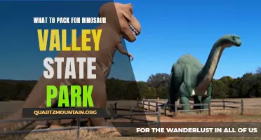 Essential Items to Pack for Exploring Dinosaur Valley State Park