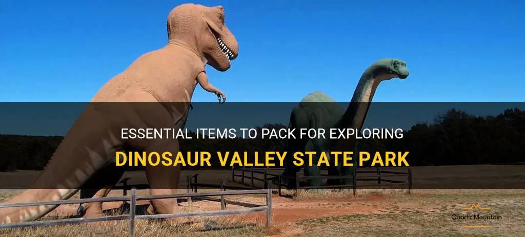 what to pack for dinosaur valley state park