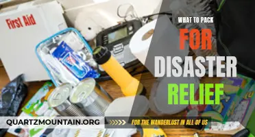 Essential Items to Pack for Disaster Relief: Be Prepared for Any Emergency