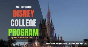 Pack Like a Pro: Essentials for Your Disney College Program Experience