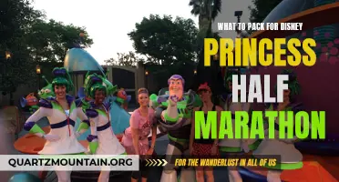 Essential Items for a Memorable Disney Princess Half Marathon Journey
