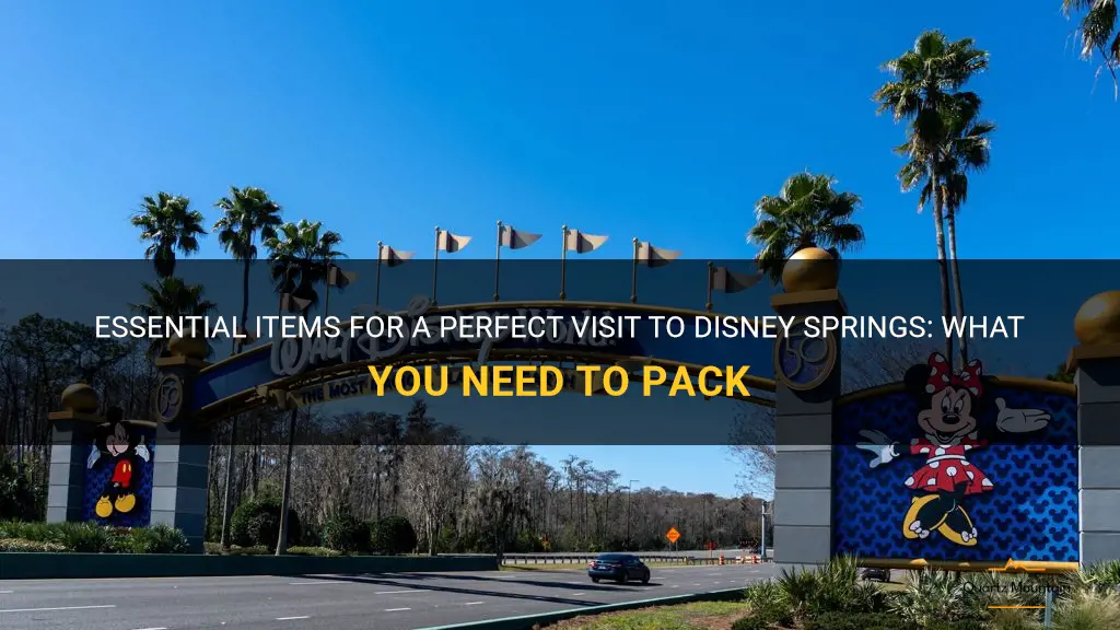 what to pack for disney springs
