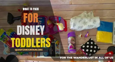 Essential Items to Pack for a Disney Trip with Toddlers