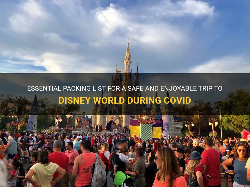 what to pack for disney world during covid
