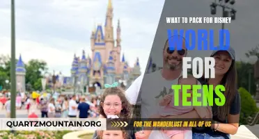 Essential Items to Pack for a Memorable Disney World Experience for Teens