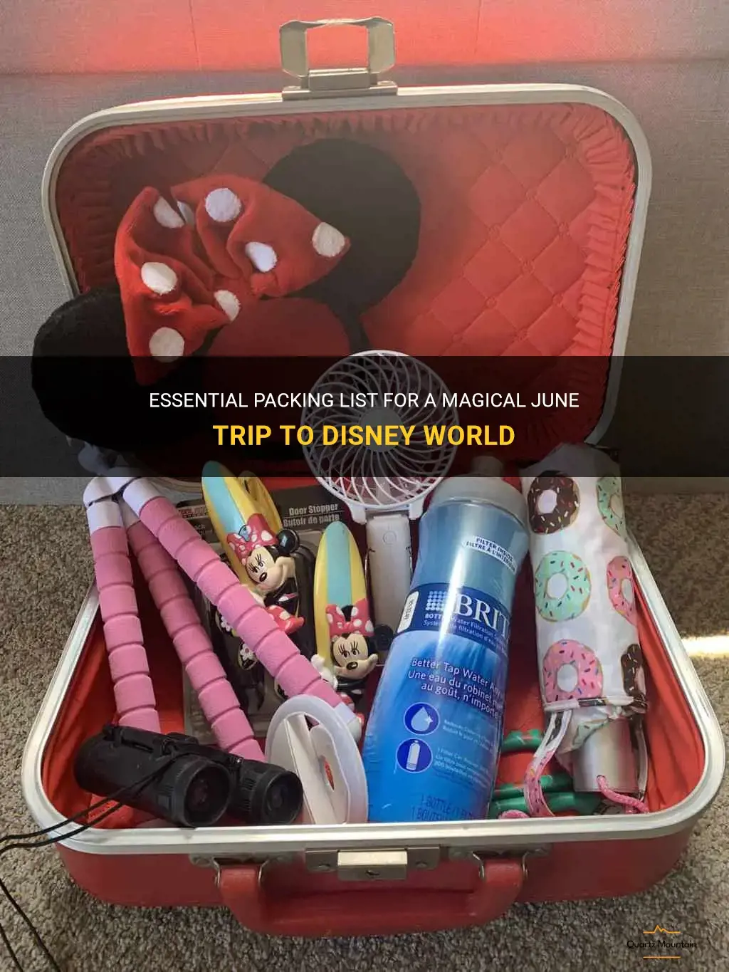 what to pack for disney world in june