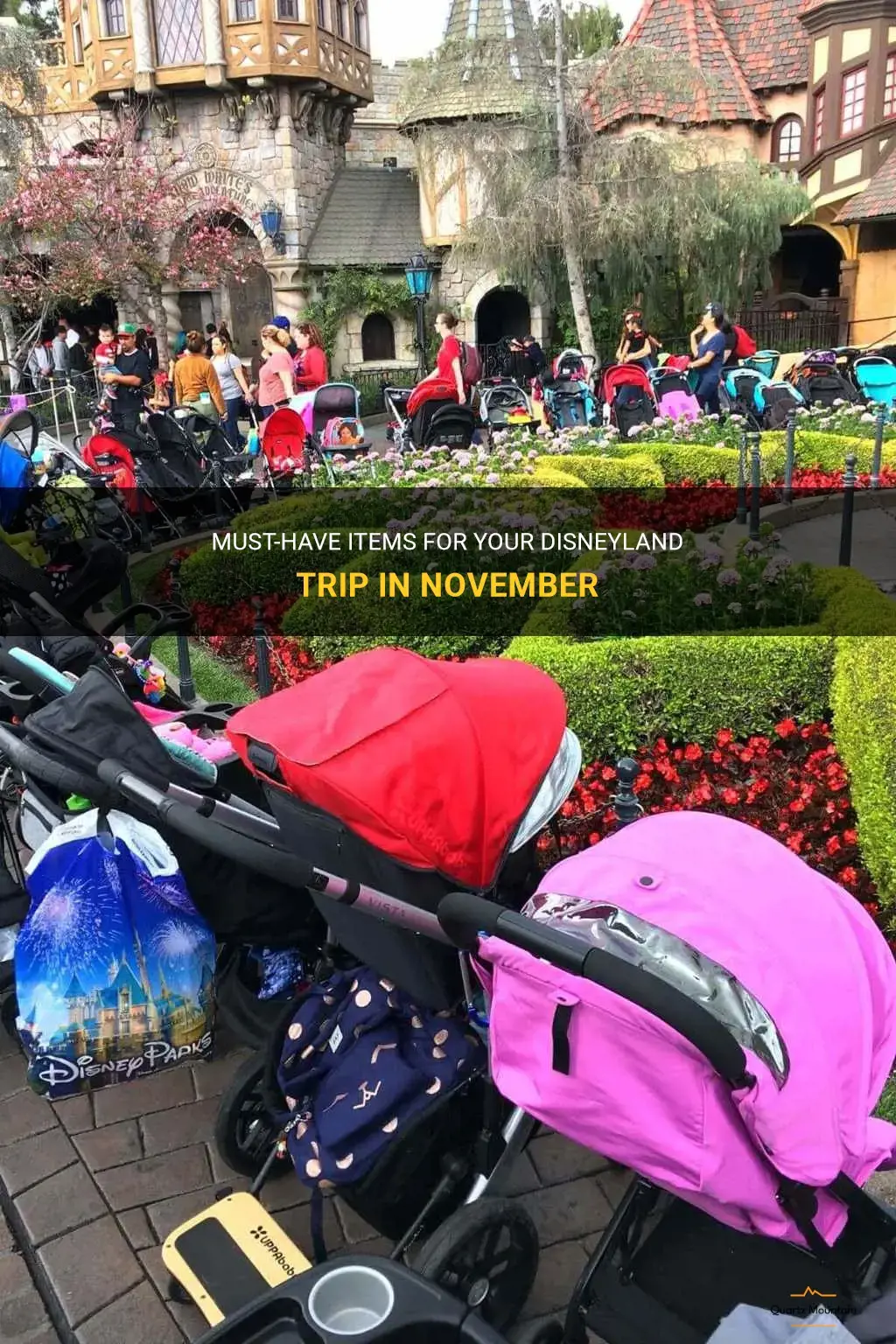what to pack for disneyland in november