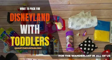Essential Items to Pack for a Disneyland Trip with Toddlers