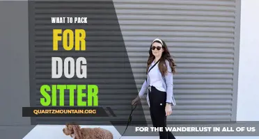 Essential Items to Pack for Your Dog Sitter: A Comprehensive Guide