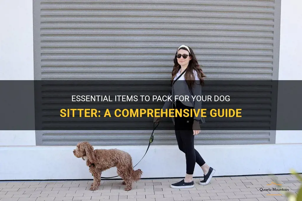 what to pack for dog sitter