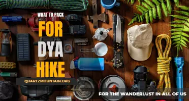 Essential Items to Pack for a Day Hike: A Comprehensive Guide