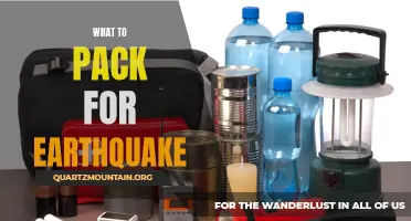 Essential Items for Your Earthquake Preparedness Kit
