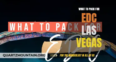 Ultimate Checklist for What to Pack for EDC Las Vegas