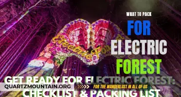 The Ultimate Packing Guide for Electric Forest: Everything You Need to Bring