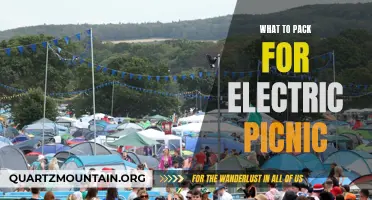 Essential Items to Include in Your Electric Picnic Packing List
