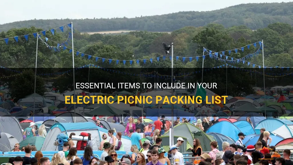 what to pack for electric picnic