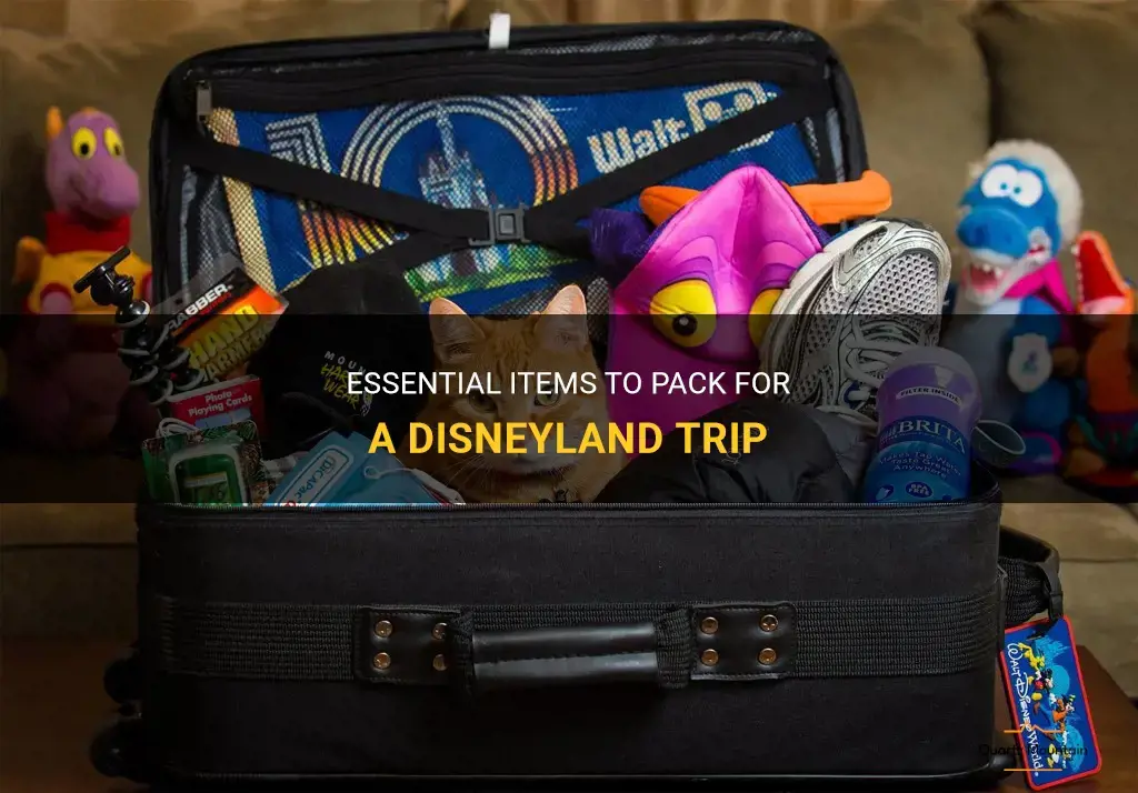 what to pack for eun disney