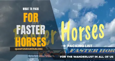 Must-Have Essentials for Faster Horses: What to Pack