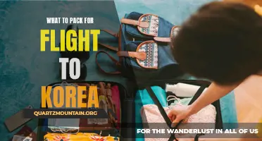 Essential Items to Pack for Your Flight to Korea