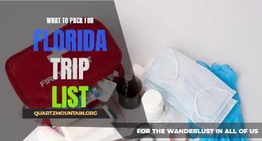 Essential Items to Pack for Your Florida Trip: A Complete Checklist