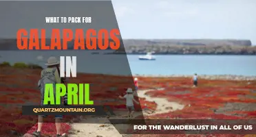 Essential Packing List for a Trip to the Galapagos Islands in April