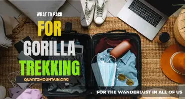The Essential Packing Guide for an Unforgettable Gorilla Trekking Adventure