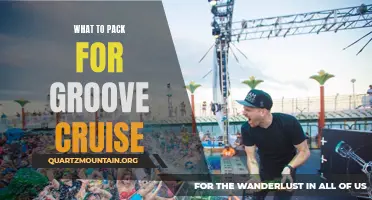 Essential Items to Pack for an Unforgettable Groove Cruise Experience