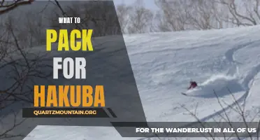 Essential Items to Pack for a Memorable Hakuba Adventure