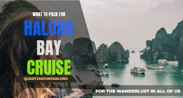 Essential Items to Pack for a Memorable Halong Bay Cruise Experience