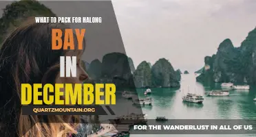 Essential Packing List for a December Trip to Halong Bay