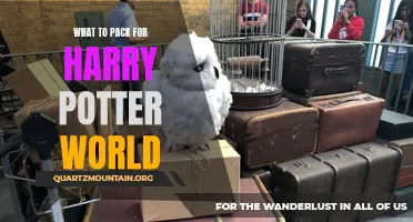 The Ultimate Guide to Packing for a Trip to Harry Potter World