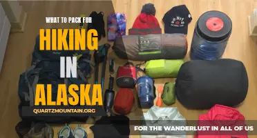 Essential Gear and Items to Pack for Hiking in Alaska