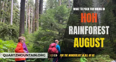 What to Pack for Hiking in the Hoh Rainforest in August