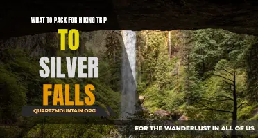 Essential Items to Pack for a Hiking Trip to Silver Falls