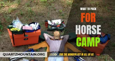 Essential Items to Pack for Horse Camp