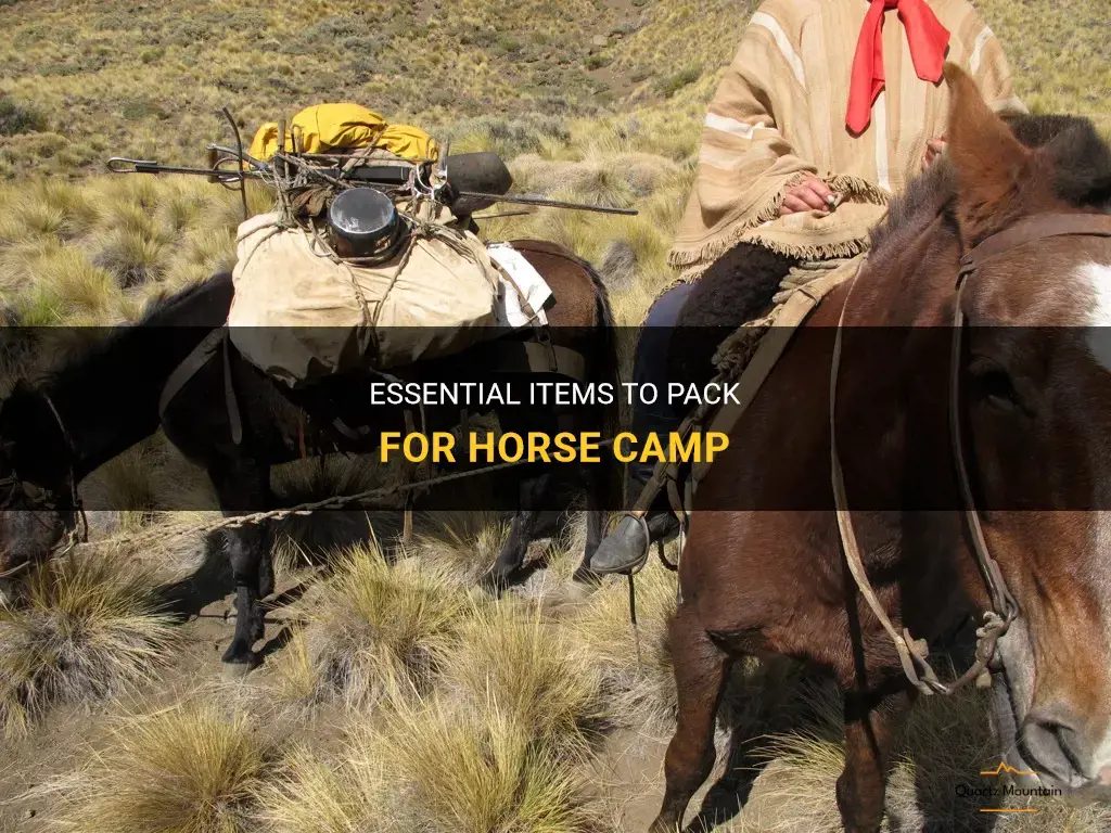 what to pack for horse camp