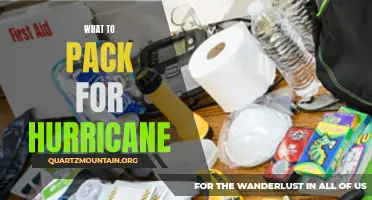 Essential Items to Pack for a Hurricane Preparedness Kit