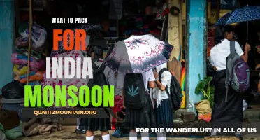 Essential Items to Pack for India's Monsoon Season