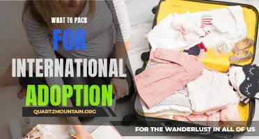 Essential Items to Pack for International Adoption
